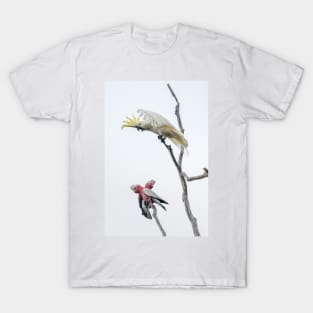 Get Off My Perch T-Shirt